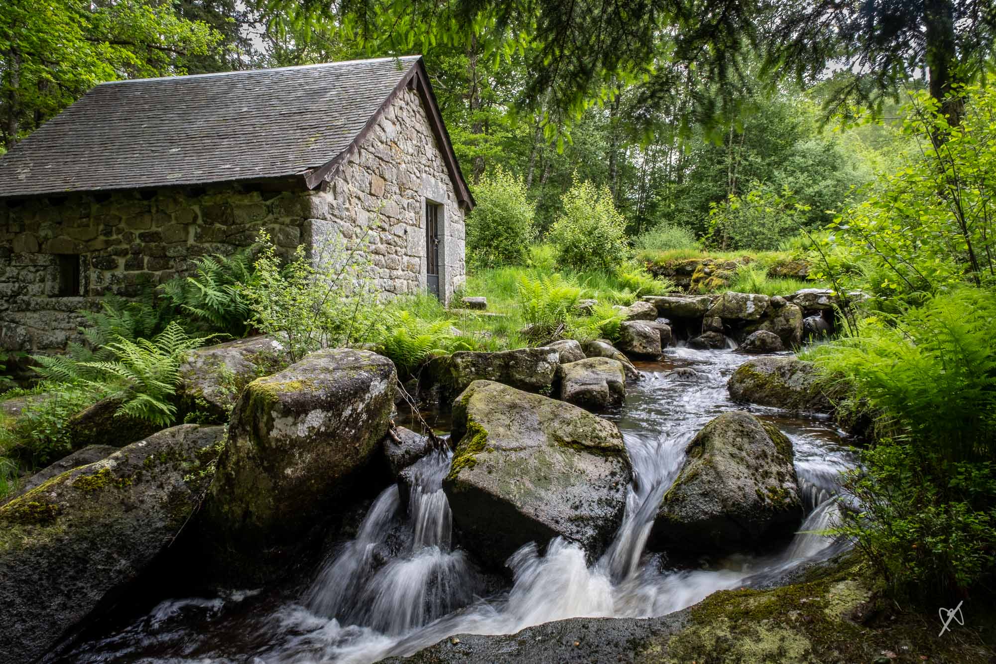 dk DSCF4133 20240608 mill