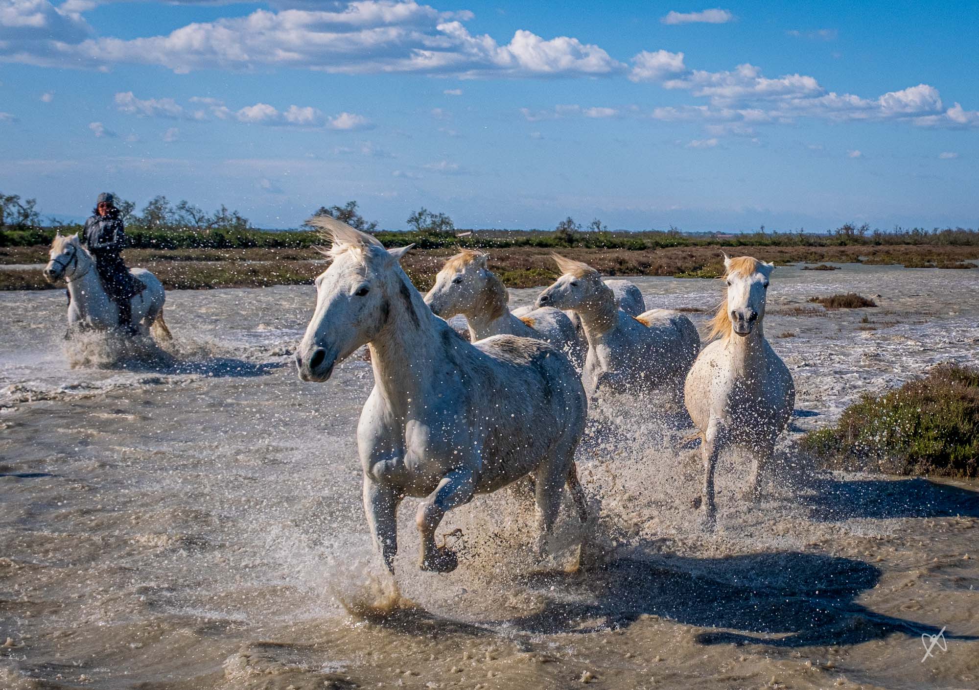 dk DSCF3454 HDR 20251112 automne
