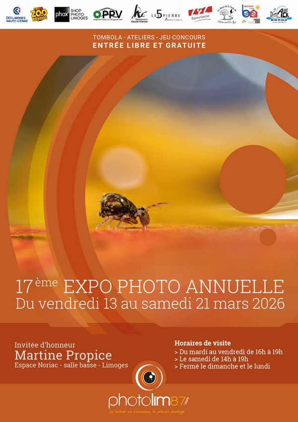 affiche expo david dec