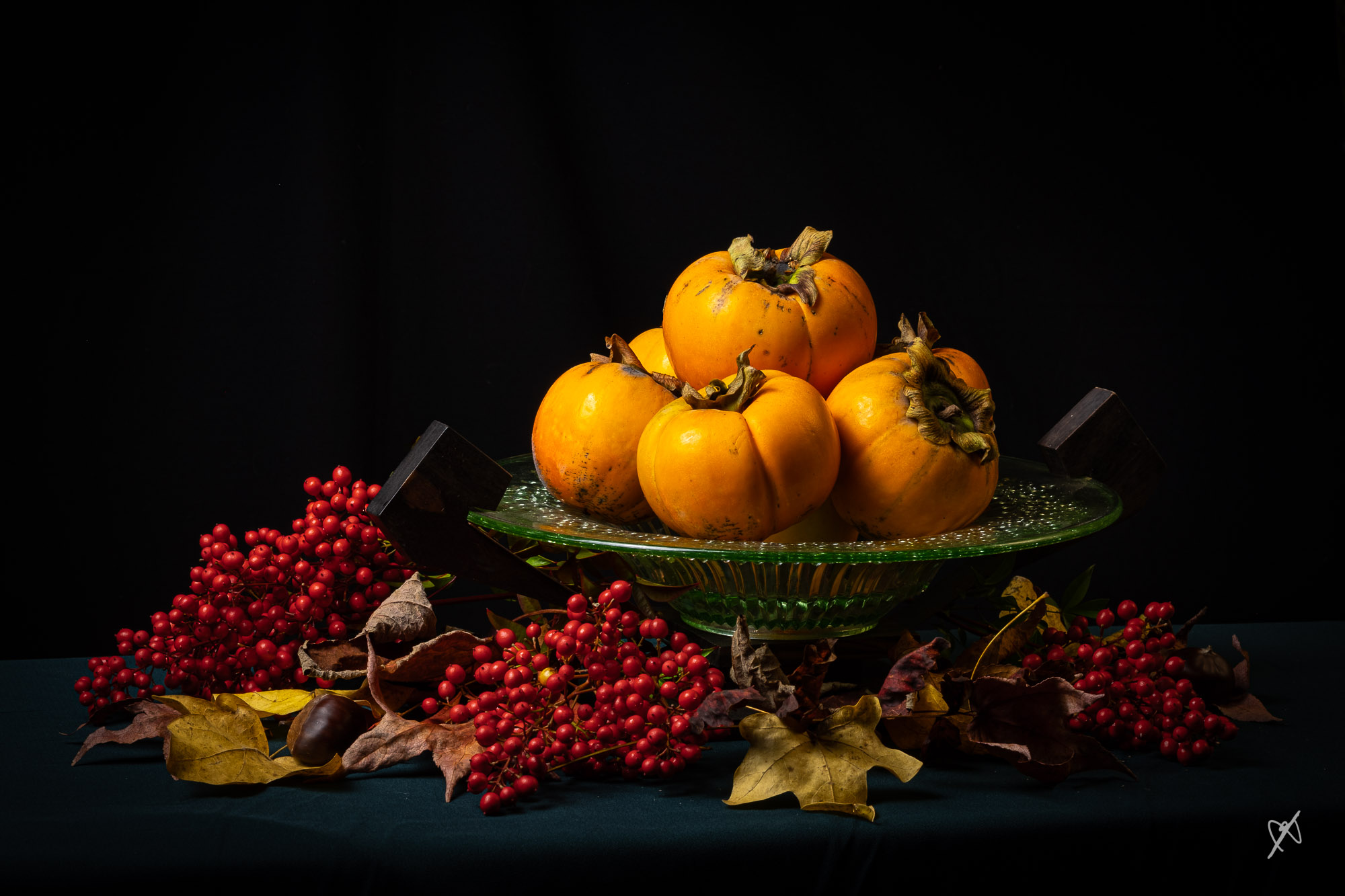 dk DSCF9504 20231206 kakis