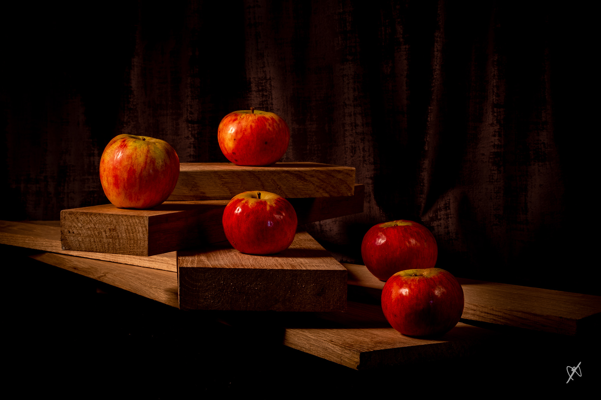 dk 3368 20221110 still life